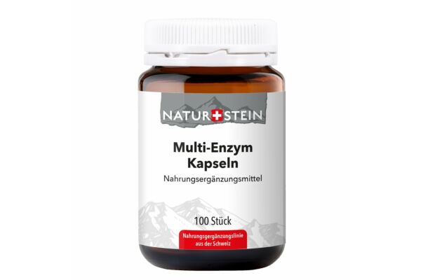 Naturstein Multi- Enzym Kaps Glas 100 Stk