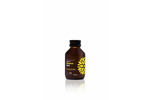 VIGO kombucha probiotic bio shot Balance Detox 12 fl 100 ml