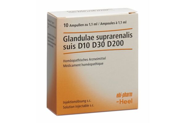 Glandula suprarenalis suis Injeel Inj Lös 10 Amp 1.1 ml