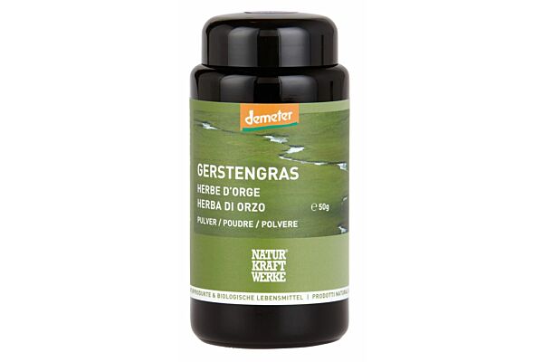 NaturKraftWerke Gerstengras Pulver Demeter 50 g