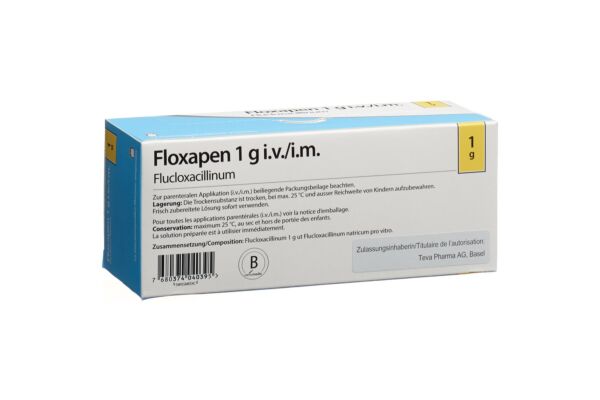 Floxapen subst sèche 1 g flac 10 pce