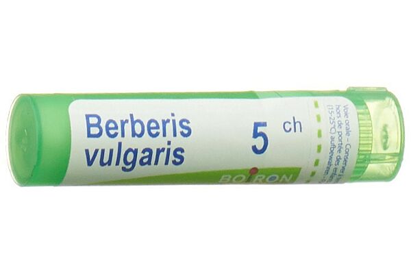 Boiron berberis vulgaris gran 5 CH 4 g