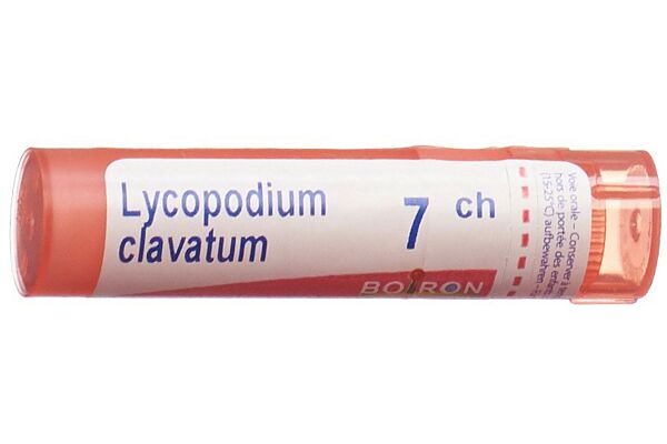 Boiron Lycopodium clavatum Gran CH 7 4 g