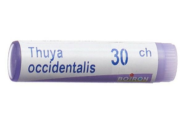 Boiron thuya occidentalis glob 30 CH 1 dos
