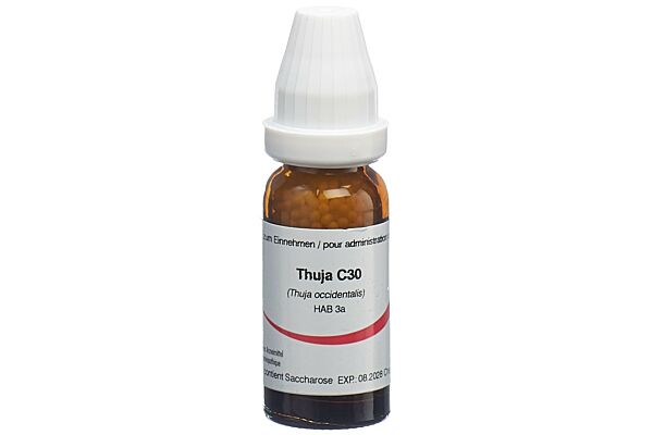 Omida Thuja Glob C 30 14 g