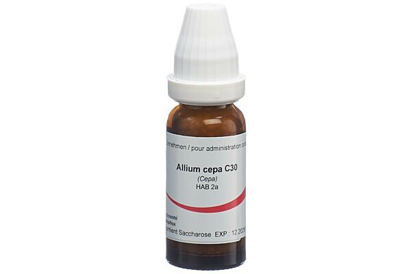 Omida Allium cepa Glob C 30 14 g