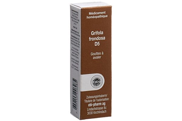 Sanum Grifola frondosa Tropfen D 5 10 ml