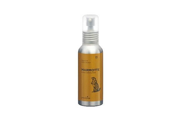 puralpina Marmotte Massageöl Fl 100 ml