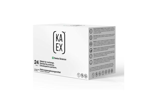 KA-EX reload Pack Btl 24 Stk