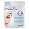 skin republic Collagen Hydrogel Face Mask 25 g thumbnail