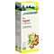 Schoenenberger Ingwer Frischpflanzentrunk Bio Fl 200 ml thumbnail